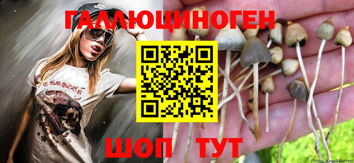 Тула  Псилоцибиновые грибы Magic Shrooms  наркота  Вход с VPN 
